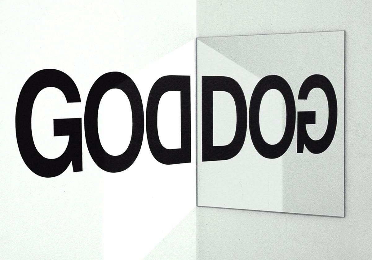 GoDoG_prototype